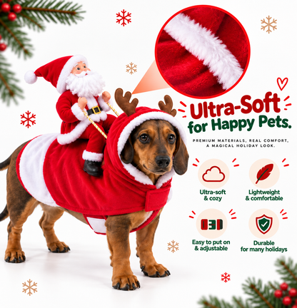 Santa Rider Dog Costume
